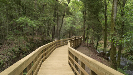 Wooden footbridge in Stanislaus fountain park