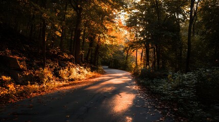 Obraz premium Sunlit Forest Road - A Serene Autumnal Drive Through Natures Beauty and Golden Light.