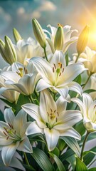Obraz premium Serene beauty of white lilies fills the air with elegance and sophistication on a warm summer day