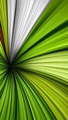 Obraz premium Abstract Green Light Streaks and Concentric Rays Artistic Decoration for Digital Art Background