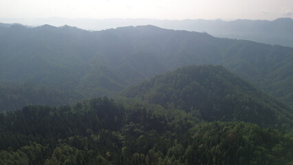 Obraz premium Aerial view of a row of green hills, with lush trees in the morning in Indonesia