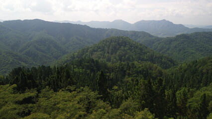 Obraz premium Aerial view of a row of green hills, with lush trees in the morning in Indonesia