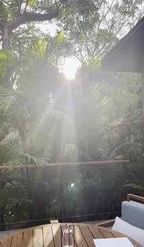 Tropical Sunlight Through Palm Trees Luxury Resort Balcony Nature Retreat 4k