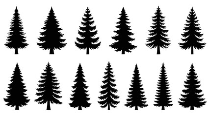 Obraz premium Collection of various evergreen tree silhouettes for winter and holiday designs.
