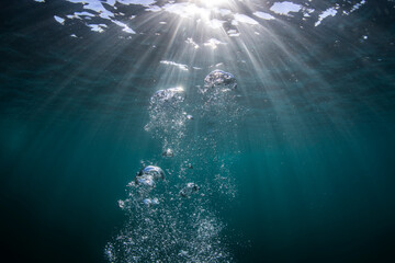 Air bubbles rising through dark blue underwater scene with sun rays piercing the surface in the ocean of Australia, creating a calm and minimal marine background. © Gary