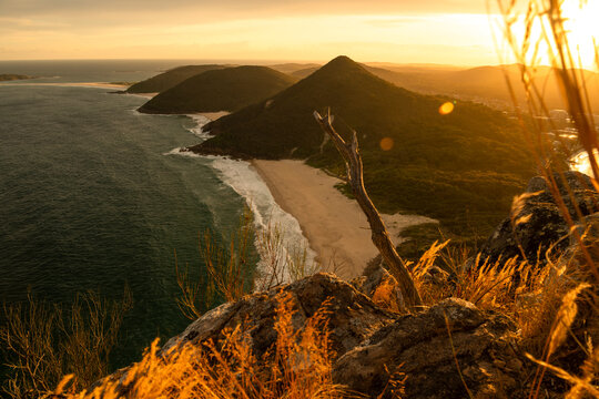 Sandy beach and ocean shoreline at sunset in Zenith Beach, Port Stephens, New South Wales, Australia, with soft evening light, coastal vegetation, and calm sea.