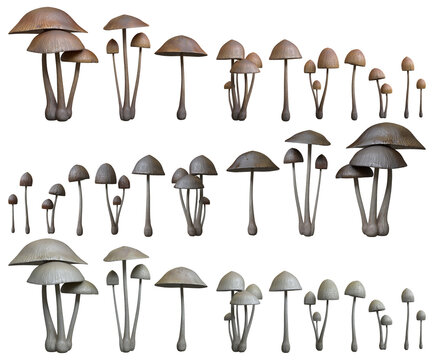 Three Types of Magic Mushrooms &ndash; Realistic 3D Render Collection on Dark Background