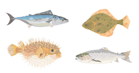 Cute cartoon Atlantic bonito fish, pufferfish, flounder fish and sea bass fish. Vector hand drawn illustration isolated on white background. Marine icon set. © iv.rymm