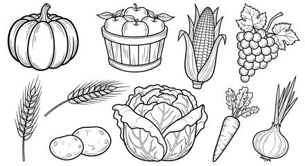 Obraz premium Collection of Fresh Farm Harvest Vegetables and Fruits Line Art.