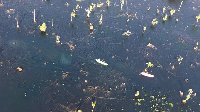 Aerial View of Kayaking Through Klong Root Mangrove Forest in Krabi