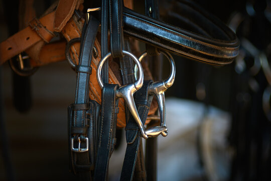 Close-up of leather horse bridles & metal bits hanging in a stable. This equestrian equipment, horse tack room & traditional saddlery shot is essential for riding sports & animal husbandry.
