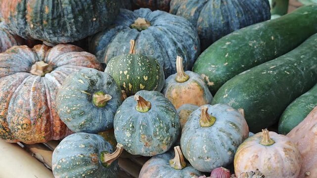 A pile of pumpkins in the market.