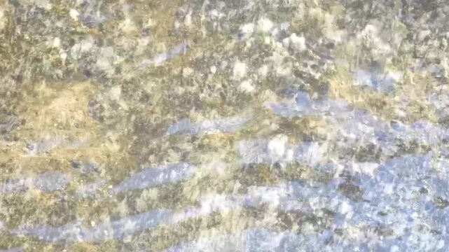 Green tropical river lake stream water flow texture pattern of Thailand.