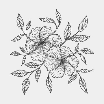 Hand Drawn Botanical Flower Pair with Leaves Line Art Illustration