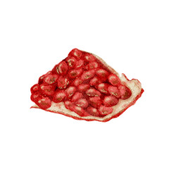 Detailed Watercolor Representation Capturing Glossy Seeds And Warm Ruby Hues Of Pomegranate