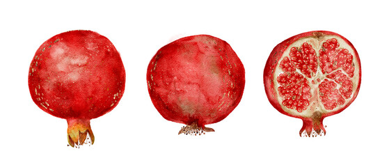 Botanical Watercolor Study Illustrating Ripe Pomegranate Fruits With Seeds And Vivid Red Hues