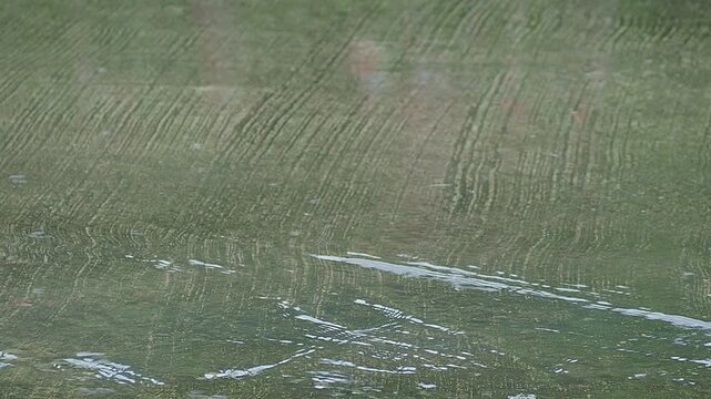 Rain on floor wall cement street, effect storm fall rainy absatract nature spash on grey concrete, blur drop water background, environment ecosystem or broken heart concept.