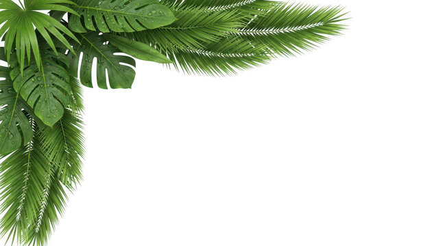 Tropical corner decoration with lush Monstera and palm leaves, some with water droplets, creating a refreshing jungle feel