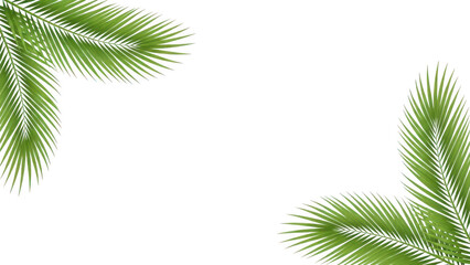 Fototapeta premium Diagonal Palm Leaf Corners for Tropical Background Design