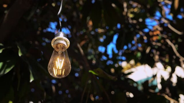 A single exposed filament bulb hangs glowing from a wire against a leafy background with sunlight filtering through branches and a patch of blue sky peeking through
