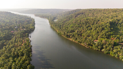 Fototapeta premium Aerial view of the Tiracol River at the Goa–Maharashtra border in winter, showing coastal vegetation, mangroves, dry deciduous forest, coconut palms, and native trees along tidal saline waters