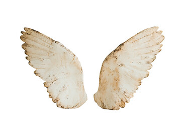 Distressed, white-ish wings spread against black backdrop