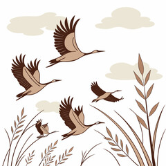 Fototapeta premium Brown birds flying over grass and clouds flying birds