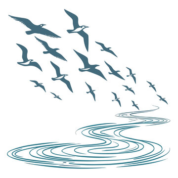 Blue sea birds flying over swirling water seagulls