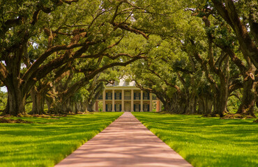 A classical southern architecture house with white columns seen through a long alley of large green oak trees.