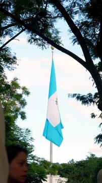 The Blue and White Guatemalan Flag Hangs From a Tall Pole, Framed by Trees Against a Clear Sky - Vertical Shot