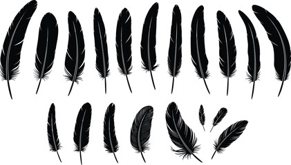 Large set of bird feather silhouettes collection decorative natural plumage elements isolated on white background vector illustration design © Ideasy Mind