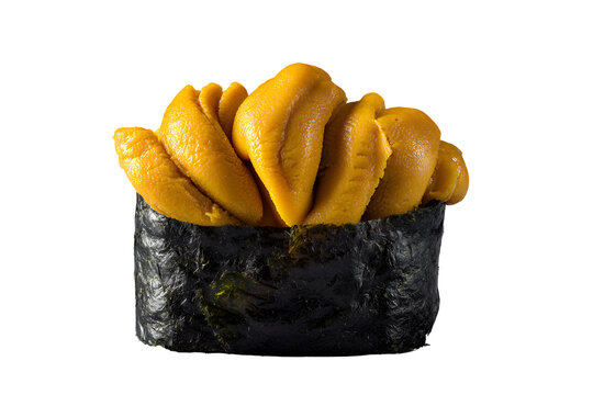 Uni sea urchin sushi gunkan isolated on transparent background