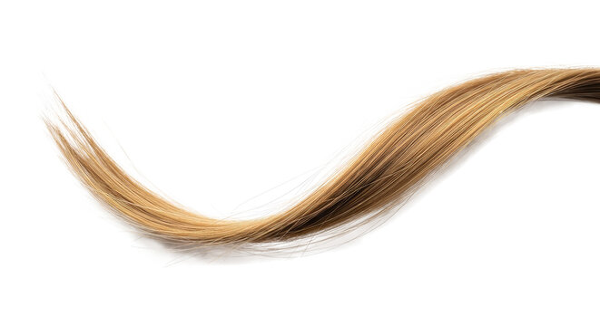 A single, long, wavy, blonde hair strand on a png transparent