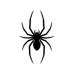 Obraz premium Symmetrical Spider Silhouette Illustration