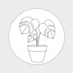 Monstera plant in a pot simple line art illustration for home decor and botanical design isolated on white background