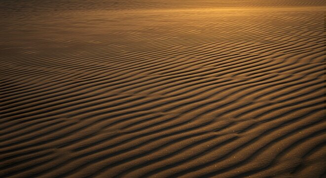 Close-up of undulating sand dunes textured by wind, illuminated by golden sunlight