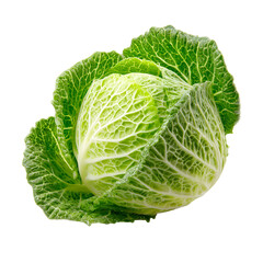 Fototapeta premium Fresh green cabbage displayed against a plain background for culinary inspiration