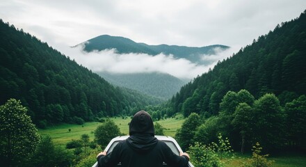 Vintage floral illustrations with heart and moon phases on transparent background