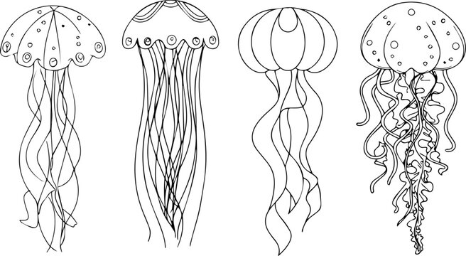 Jellyfish in Ink: A quartet of jellyfish, rendered in intricate ink linework, gracefully display their unique forms and ethereal beauty against a neutral canvas.