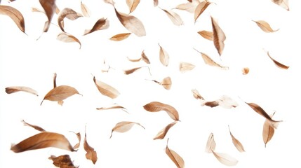 Obraz premium Dry brown leaves flying in wind on white background, autumn foliage in motion with natural textures and realistic lighting