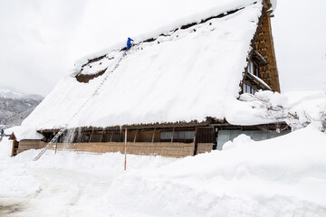 合掌造り住宅の屋根の雪降ろし