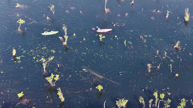 Aerial View of Kayaks Paddling Through Klong Root Mangrove Forest