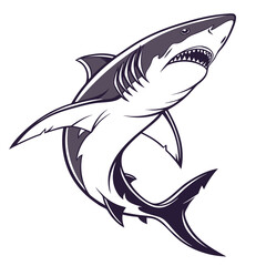 Obraz premium Shark in aggressive hunting posture with open mouth and sharp teeth