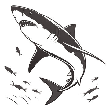 Shark in stealth hunting mode with tense posture among smaller fish