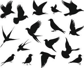 Obraz premium Flying bird silhouette collection black avian set isolated white background wildlife vector illustration clipart design bundle