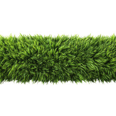 Vibrant green, shaggy, fluffy texture forms a horizontal strip against a dark background