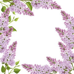 frame of lilac flowers