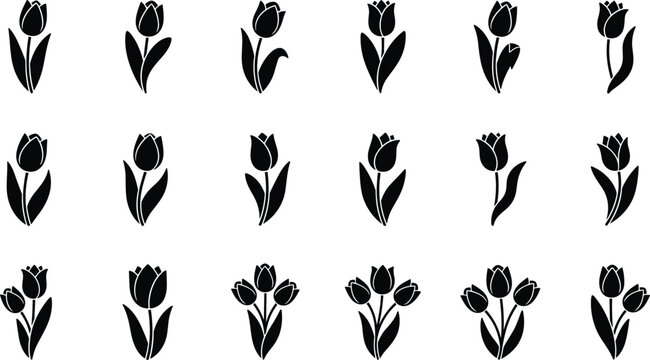 Tulip flower silhouette icon set representing floral botanical nature spring garden decoration romantic vector illustration modern design