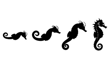 Seahorse Silhouette Vector Set Evolution Ocean Marine Life