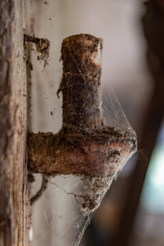 A rusty metal hinge covered in thick cobwebs